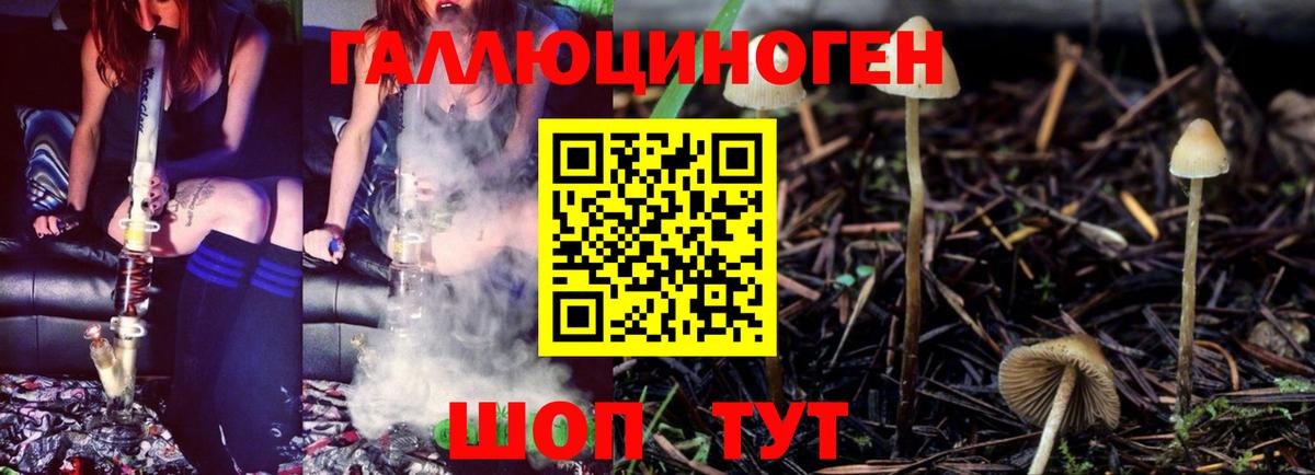 Первоуральск  закладки  Вход с VPN  Галлюциногенные грибы Psilocybe 