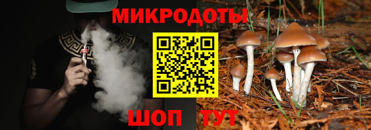Псилоцибиновые грибы Psilocybe Первоуральск